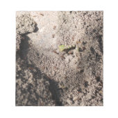Bloc-note Ants Go Marching (Devant)