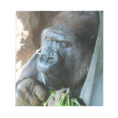 Bloc-note Ape hood ~ Japonais Gorilla Manger (Devant)