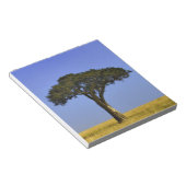 Bloc-note Arbre d'acacia isolé dans les plaines herbeuses, M (Incliné)