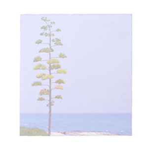 Bloc-note Arbre d'agave -