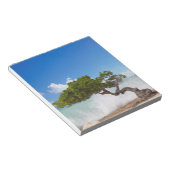 Bloc-note Arbre Divi Divi, Eagle Beach, Aruba, Caraïbes (Incliné)