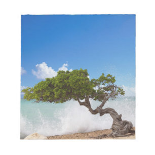 Bloc-note Arbre Divi Divi, Eagle Beach, Aruba, Caraïbes