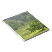 Bloc-note Arbre unique en champ agricole, Toscane, 2 (Incliné)