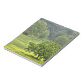 Bloc-note Arbre unique en champ agricole, Toscane, 2 (Tourné)