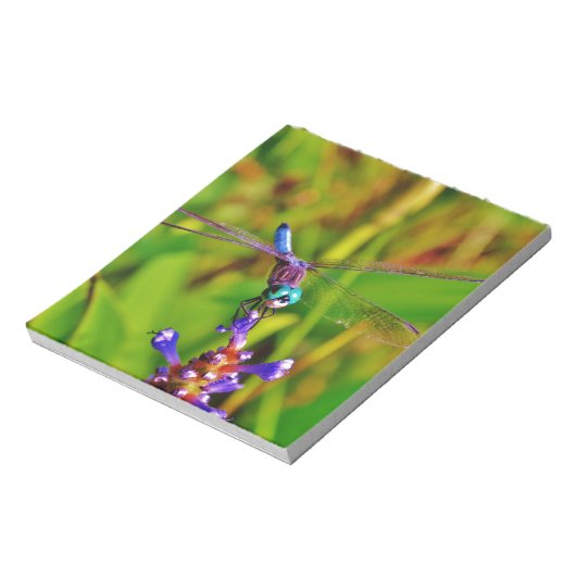 Bloc-note Arc en ciel libellule et fleur (Tourné)