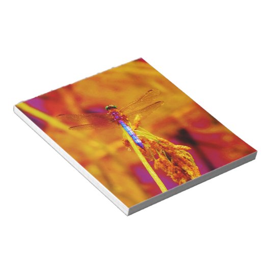 Bloc-note Arc-en-ciel libellule sur ambre et fuschie (Incliné)