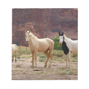Bloc-note Arizona, réserve indienne Navajo, Chinle,