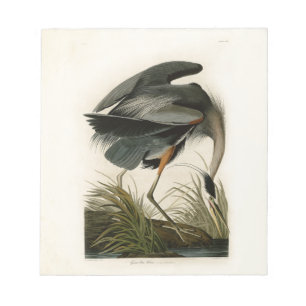 Bloc-note Audubon Great Blue Heron Marsh Bird