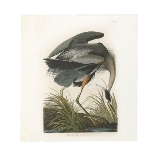 Bloc-note Audubon Great Blue Heron Marsh Bird (Devant)