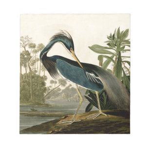 Bloc-note Audubon Héron de Louisiane Oiseaux Amérique Art