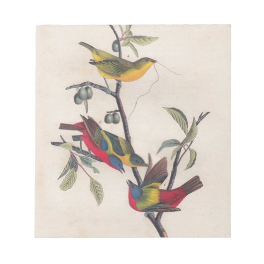 Bloc-note Audubon Peint Bunting Bird Wildlife (Devant)
