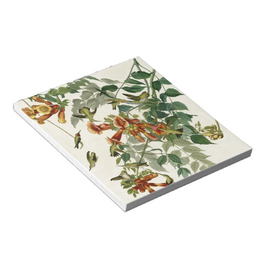 Bloc-note Audubon Throsé de colibri (Incliné)