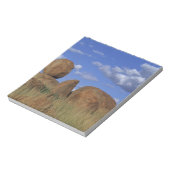 Bloc-note Australie, billes du Diable. Grès sphérique (Tourné)