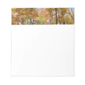 Bloc-note Automne Forêt II Automne Paysage Photographie (Devant)
