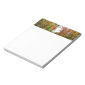 Bloc-note Automnes Arbres et Ciel bleu Automne Photographie (Tourné)