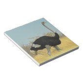 Bloc-note Autruche en course (Incliné)