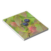 Bloc-note Baies mûres dans le Flathead National (Incliné)