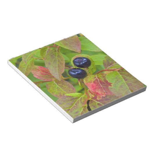 Bloc-note Baies mûres dans le Flathead National (Incliné)