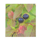 Bloc-note Baies mûres dans le Flathead National (Devant)