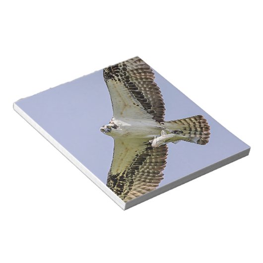 Bloc-note Balbuzard pêcheur avec poisson (Incliné)