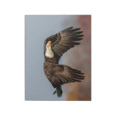 Bloc-note Bald Eagle en vol (Tourné)