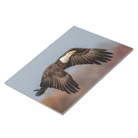 Bloc-note Bald Eagle en vol (Incliné)