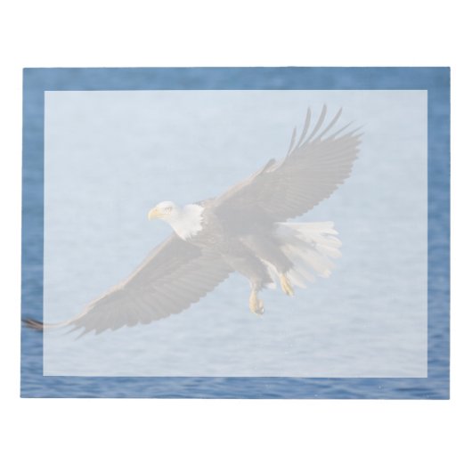 Bloc-note Bald eagle in flight (Devant)