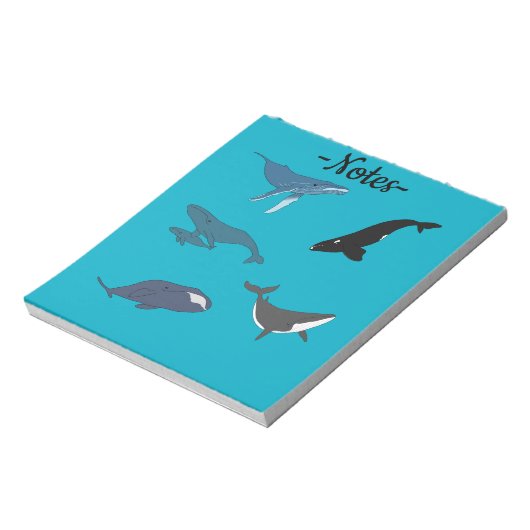 Bloc-note Baleine (Tourné)