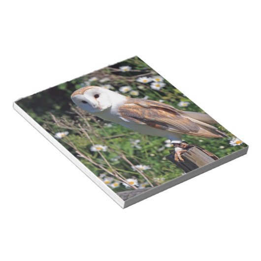 Bloc-note Barn Owl (Incliné)