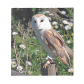 Bloc-note Barn Owl (Devant)