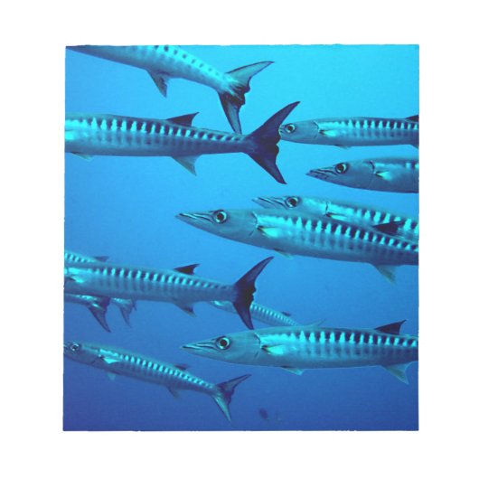 Bloc-note barracuda plongée mer profonde océan eau tropicale (Devant)