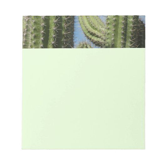 Bloc-note Barrel Cactus I Desert Photo (Devant)