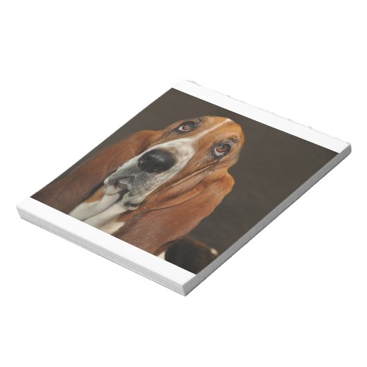 Bloc-note bassett hound 2 (Tourné)