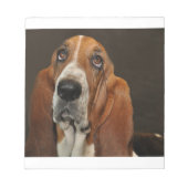 Bloc-note bassett hound 2 (Devant)