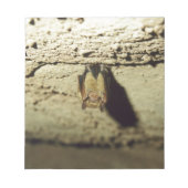 Bloc-note Bat (Devant)