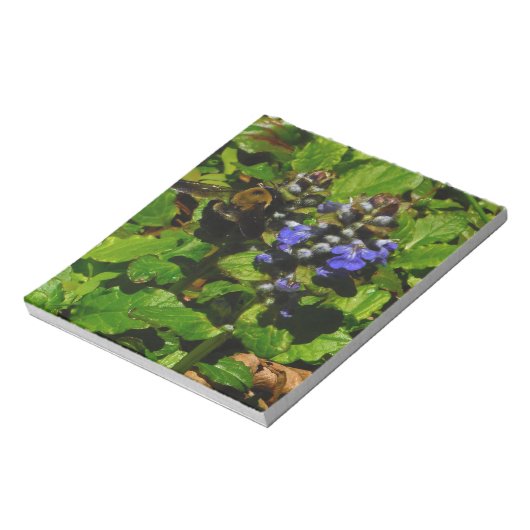 Bloc-note Baume d'abeille pourpre et bourdon (Tourné)