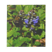 Bloc-note Baume d'abeille pourpre et bourdon (Devant)