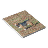 Bloc-note Beagle (Incliné)