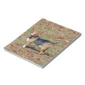 Bloc-note Beagle (Tourné)