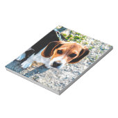Bloc-note Beagle (Tourné)