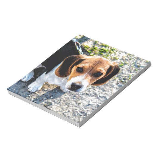 Bloc-note Beagle (Tourné)