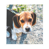 Bloc-note Beagle (Devant)