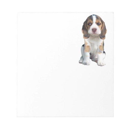 Bloc-note Beagle Puppy Portrait cadeaux (Devant)