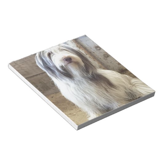 Bloc-note Bearded Collie (Incliné)