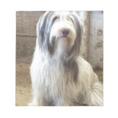 Bloc-note Bearded Collie (Devant)