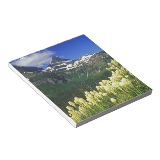 Bloc-note Beargrass au col Logan dans le parc national Glaci (Incliné)