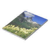Bloc-note Beargrass au col Logan dans le parc national Glaci (Tourné)