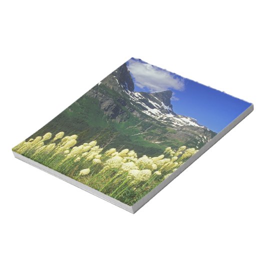 Bloc-note Beargrass au col Logan dans le parc national Glaci (Tourné)