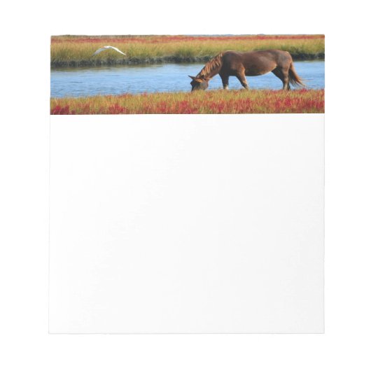 Bloc-note Beau cheval Brown (Devant)