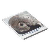 Bloc-note Beau fossile de pyrite ammonite montrant sutures (Incliné)